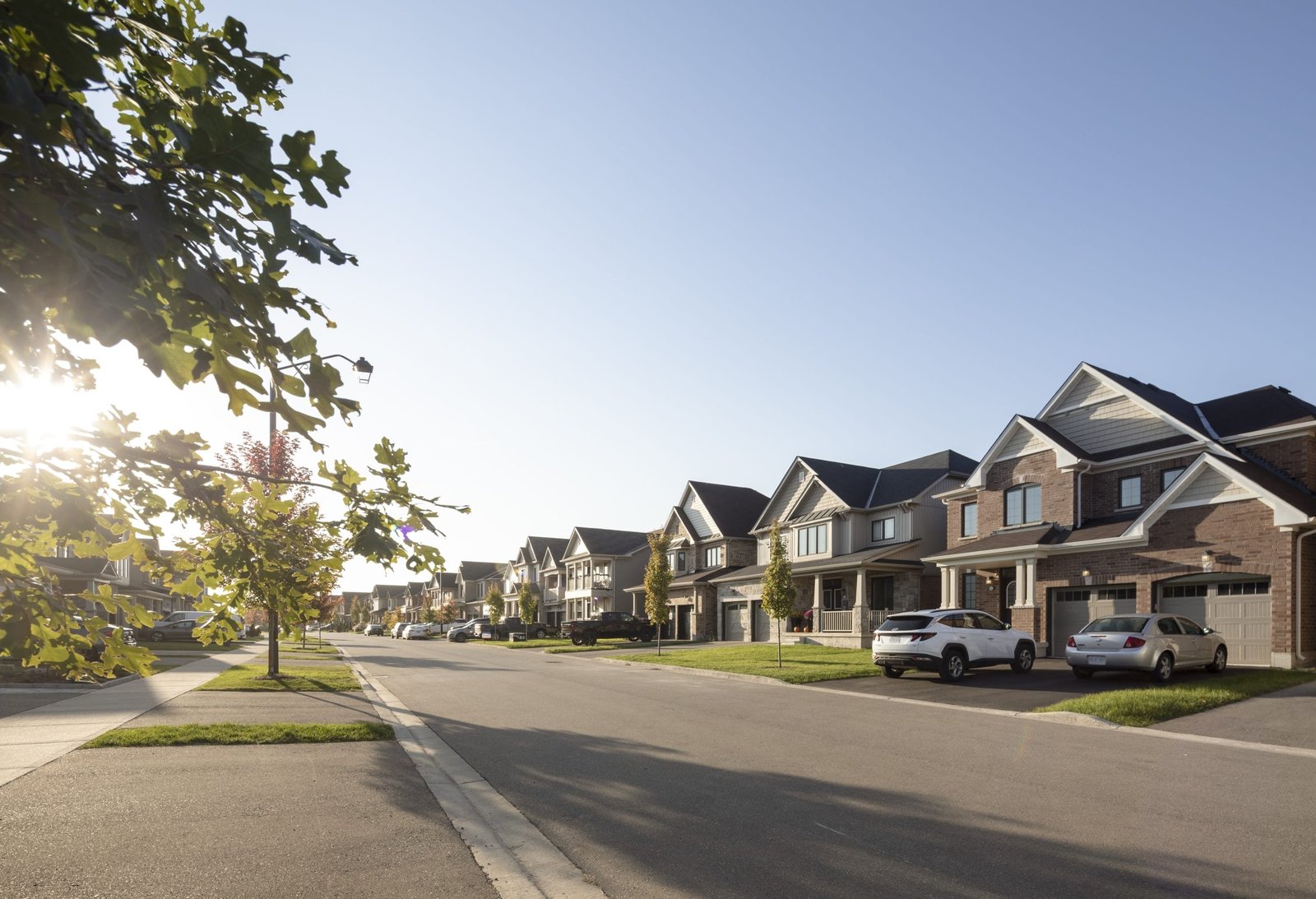 Avalon_Streetscape_2